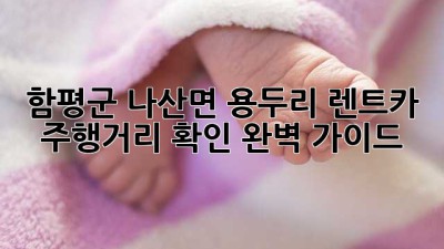 함평군 나산면 용두리 렌트카 주행거리 확인 완벽 가이드