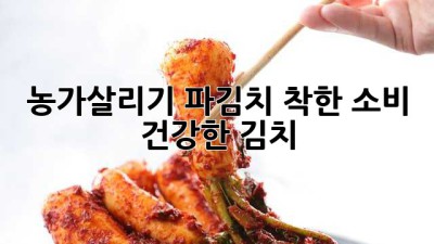 농가살리기 파김치: 착한 소비, 건강한 김치
